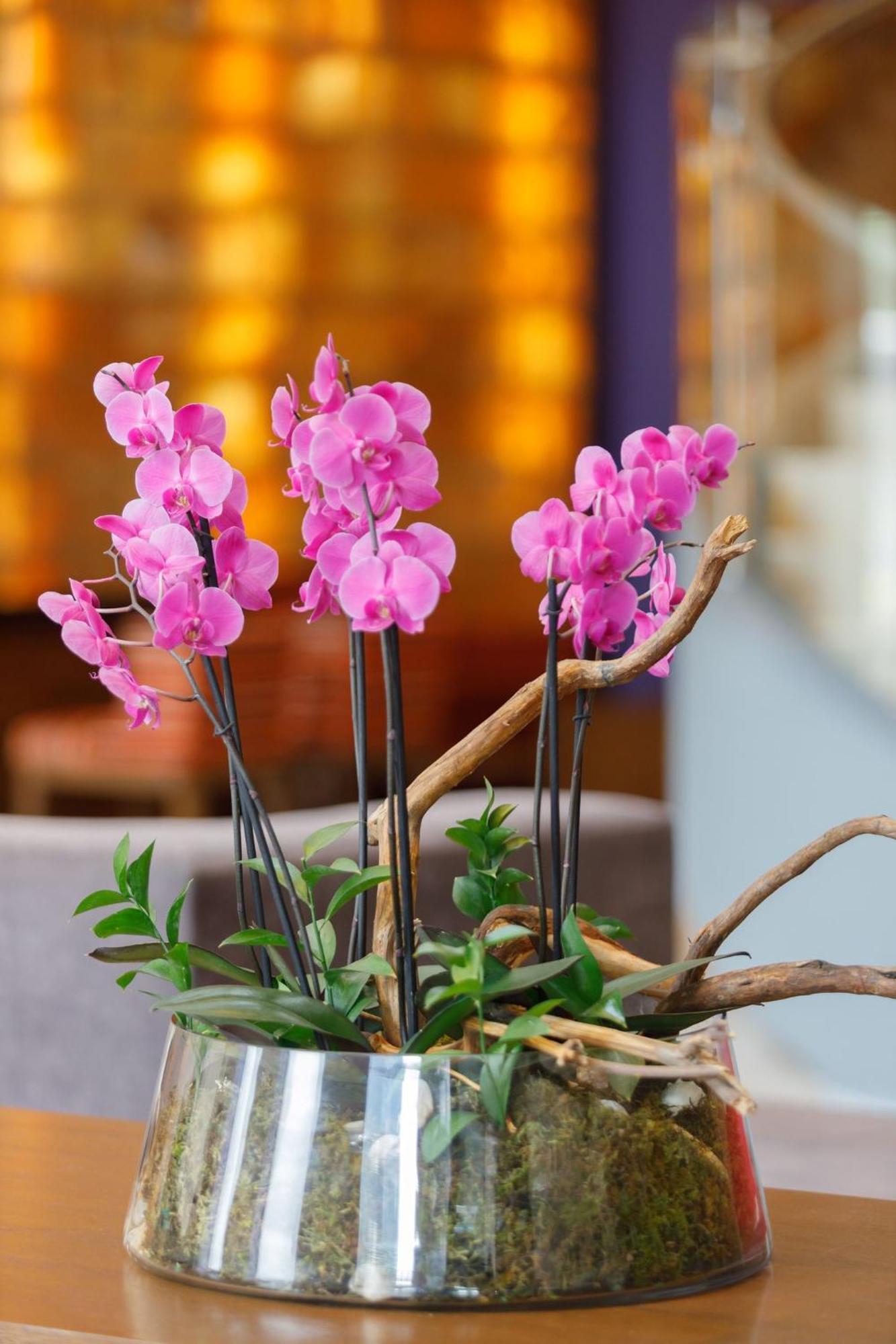 Camino Real Pedregal Mexico 호텔 외부 사진 Flower arrangement